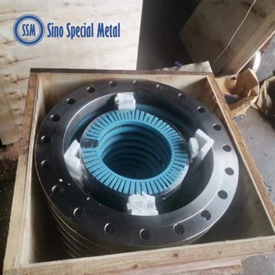 Monel K500 Кован фланец